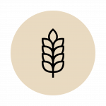 Contains Rich Fibers and Irons